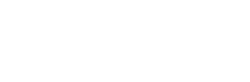 MOTT WIKIPEDIA visual data 6